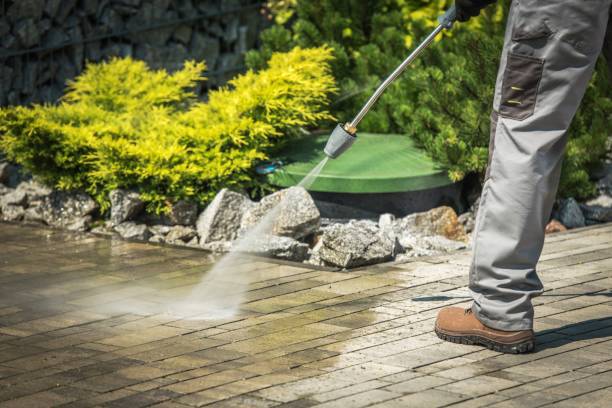 Best Animal Enclosure Cleaning  in Carlin, NV