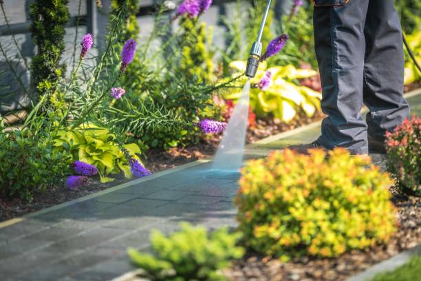 Professional  Pressure Washing Services in Carlin, NV